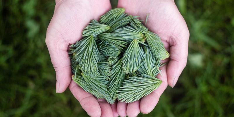 山东聊城应急物资智慧调度平台：整合社会运力与仓储资源，实现高效物流配送