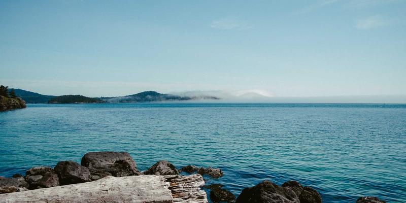 平战结合，协同保障：聊城宏伟物资供应链如何构建区域医疗物资储备调拨新机制