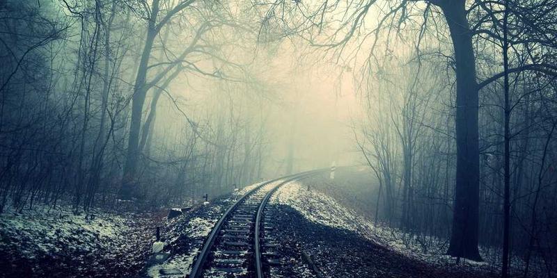 聊城冷链物流枢纽建设：从建筑材料到生鲜医药的区域配送中心转型