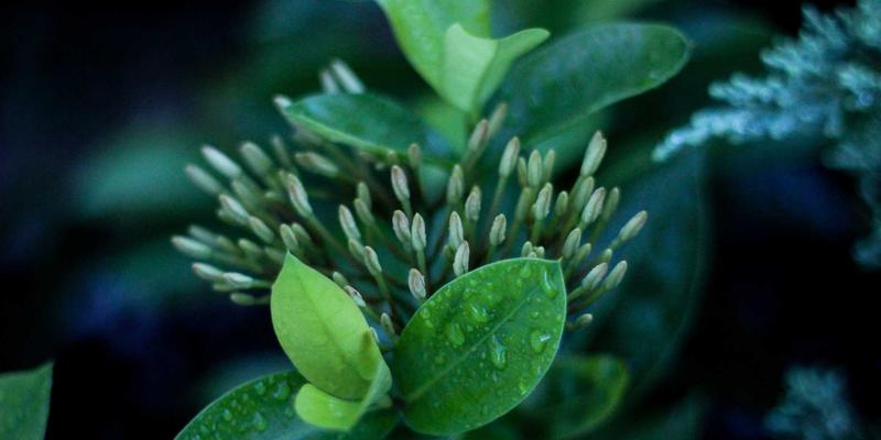 聊城化工原料与建筑材料供应安全：物流配送优化与环保政策下的新格局