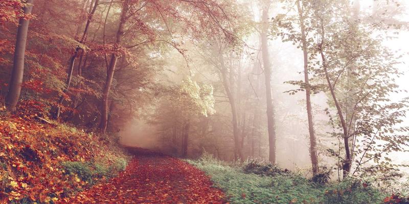 聊城宏伟物资：专业建筑材料供应，筑就品质工程基石