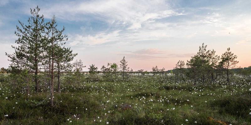 聊城宏伟物资:现代物流配送与供应链管理的区域实践者