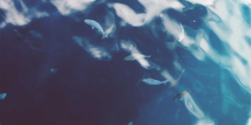 聊城工业物资供应链全解析：宏伟物资等企业的战略布局与采购攻略