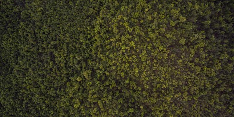 聊城物资22：构建鲁西建筑材料的智慧供应链新枢纽