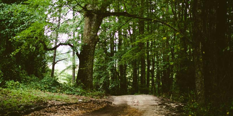 聊城物资38与宏伟物资：现代供应链如何重塑鲁西地区物资供应新格局