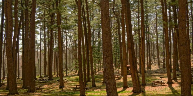 聊城物资49与宏伟物资:解析山东聊城现代物资流通体系的核心力量