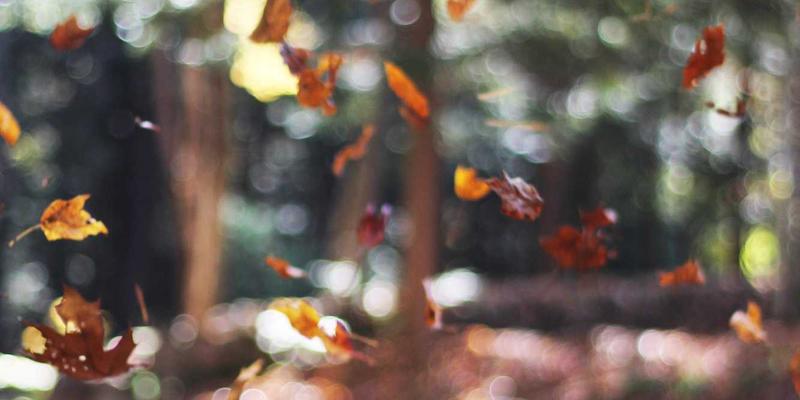 聊城物资77：解析山东聊城建筑材料供应体系与区域发展新动能