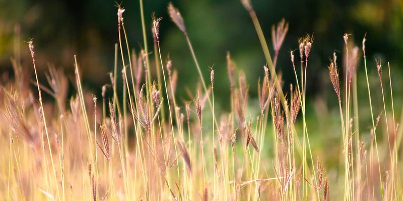 聊城物资89：宏伟物资如何成为鲁西工业与建筑材料的可靠支柱