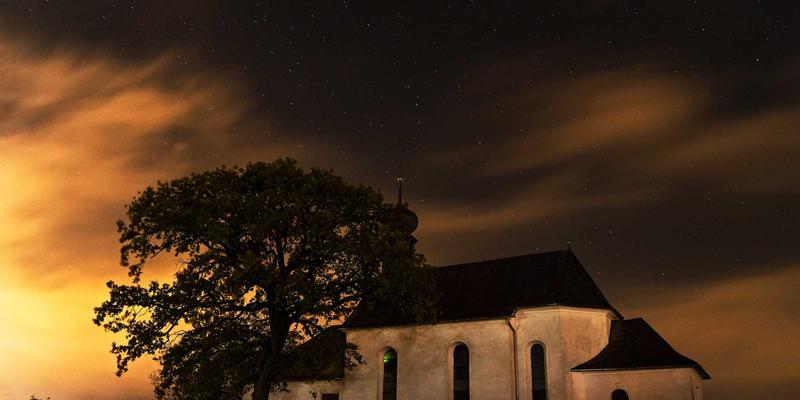 聊城物资97与宏伟物资：建筑材料的区域供应链解析