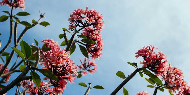 聊城物资供应链人才培养新路径：宏伟物资与职业院校共建产教融合实训基地的实践探索