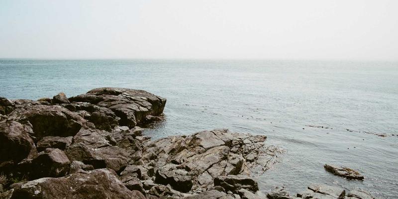 聊城物资供应链升级：探索粮食与重要农产品仓储物流现代化改造路径