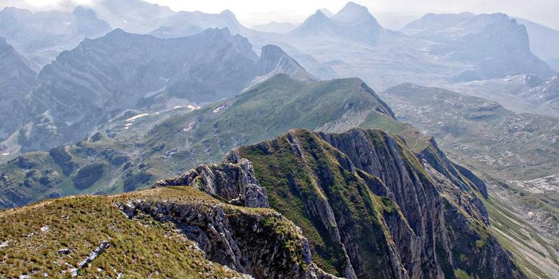 聊城电商崛起：工业物资供应链的数字化变革与未来之路